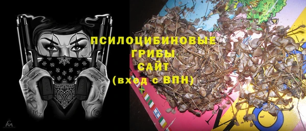 кокс Вяземский