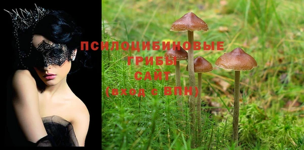 кокс Вяземский