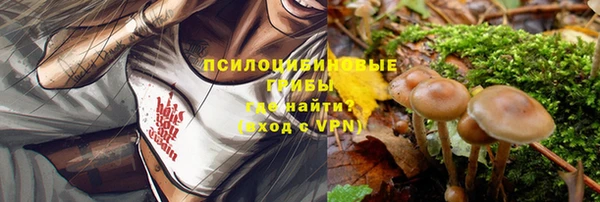 кокс Вяземский