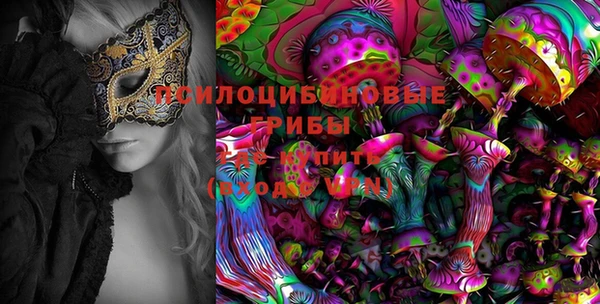 кокс Вяземский