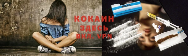 кокс Вяземский